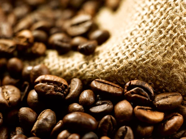 Coffee beans — Stock Photo, Image