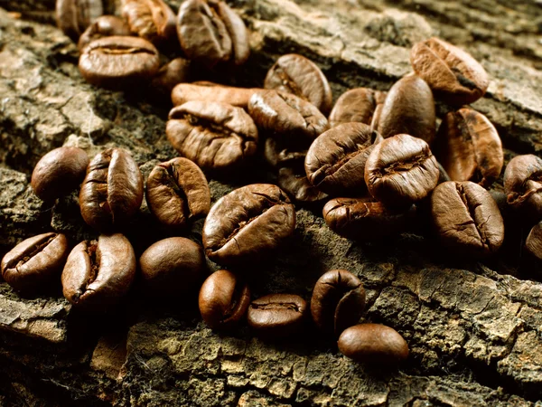 Coffee beans — Stock Photo, Image