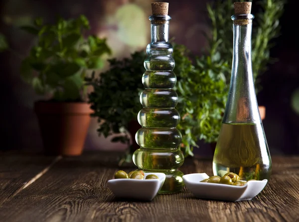 Collection of bottles of olive oil — Stock Photo, Image