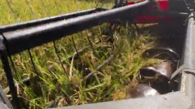 Tarım teknolojisi, hasat makinesinin yakın çekimi Tayland kırsalında pirinç hasadı, yavaş çekim