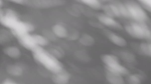 白土墙背风覆盖灰阴影叶的运动 夏季概念 — 图库视频影像