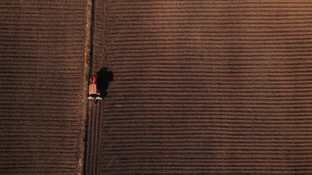 Высокоугловой Дрон Точки Зрения Фермер Приводящий Тракторные Посевные Машины Поле — стоковое видео