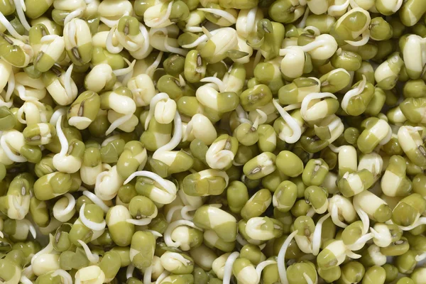 Sprouts of Green Gram - Moong — Stock Photo, Image