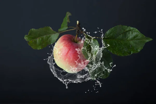 Стигле літаюче яблуко на чорному тлі в бризці води . — стокове фото