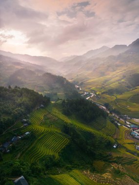Vietnam 'ın kuzeyindeki Sapa şehri yakınlarındaki Mu cang chai kasabasındaki altın pirinç teraslarının hava manzarası. Vietnam, Yen Bai 'de hasat mevsiminde güzel bir pirinç tarlası. Seyahat ve manzara konsepti. Seçici odak