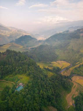 Vietnam 'ın kuzeyindeki Sapa şehri yakınlarındaki Mu cang chai kasabasındaki altın pirinç teraslarının hava manzarası. Vietnam, Yen Bai 'de hasat mevsiminde güzel bir pirinç tarlası. Seyahat ve manzara konsepti. Seçici odak