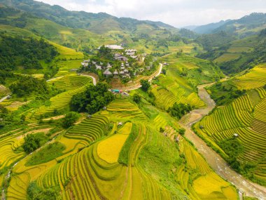 Vietnam 'ın kuzeyindeki Sapa şehri yakınlarındaki Mu cang chai kasabasındaki altın pirinç teraslarının hava manzarası. Vietnam, Yen Bai 'de hasat mevsiminde güzel bir pirinç tarlası. Seyahat ve manzara konsepti. Seçici odak
