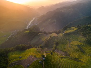 Vietnam 'ın kuzeyindeki Sapa şehri yakınlarındaki Mu cang chai kasabasındaki altın pirinç teraslarının hava manzarası. Vietnam, Yen Bai 'de hasat mevsiminde güzel bir pirinç tarlası. Seyahat ve manzara konsepti. Seçici odak