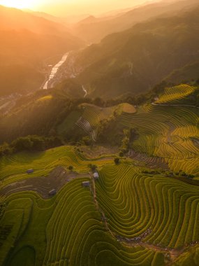 Vietnam 'ın kuzeyindeki Sapa şehri yakınlarındaki Mu cang chai kasabasındaki altın pirinç teraslarının hava manzarası. Vietnam, Yen Bai 'de hasat mevsiminde güzel bir pirinç tarlası. Seyahat ve manzara konsepti. Seçici odak