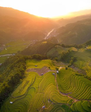 Vietnam 'ın kuzeyindeki Sapa şehri yakınlarındaki Mu cang chai kasabasındaki altın pirinç teraslarının hava manzarası. Vietnam, Yen Bai 'de hasat mevsiminde güzel bir pirinç tarlası. Seyahat ve manzara konsepti. Seçici odak