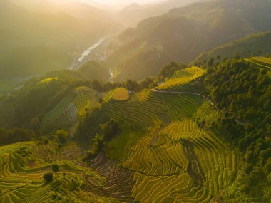 Vietnam 'ın kuzeyindeki Sapa şehri yakınlarındaki Mu cang chai kasabasındaki altın pirinç teraslarının hava manzarası. Vietnam, Yen Bai 'de hasat mevsiminde güzel bir pirinç tarlası. Seyahat ve manzara konsepti. Seçici odak