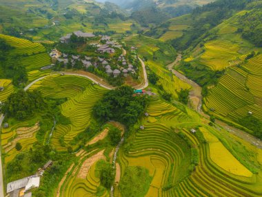 Vietnam 'ın kuzeyindeki Sapa şehri yakınlarındaki Mu cang chai kasabasındaki altın pirinç teraslarının hava manzarası. Vietnam, Yen Bai 'de hasat mevsiminde güzel bir pirinç tarlası. Seyahat ve manzara konsepti. Seçici odak