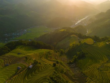 Vietnam 'ın kuzeyindeki Sapa şehri yakınlarındaki Mu cang chai kasabasındaki altın pirinç teraslarının hava manzarası. Vietnam, Yen Bai 'de hasat mevsiminde güzel bir pirinç tarlası. Seyahat ve manzara konsepti. Seçici odak
