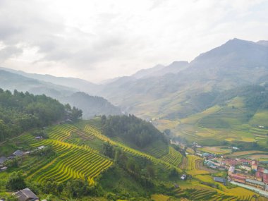 Vietnam 'ın kuzeyindeki Sapa şehri yakınlarındaki Mu cang chai kasabasındaki altın pirinç teraslarının hava manzarası. Vietnam, Yen Bai 'de hasat mevsiminde güzel bir pirinç tarlası. Seyahat ve manzara konsepti. Seçici odak