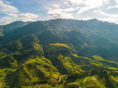 Vietnam 'ın kuzeyindeki Sapa şehri yakınlarındaki Mu cang chai kasabasındaki altın pirinç teraslarının hava manzarası. Vietnam, Yen Bai 'de hasat mevsiminde güzel bir pirinç tarlası. Seyahat ve manzara konsepti. Seçici odak