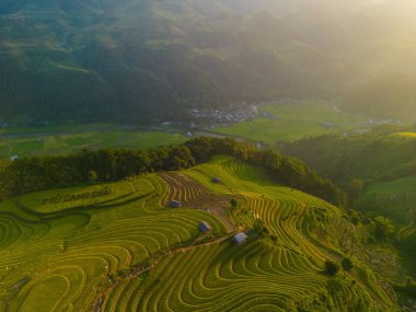 Vietnam 'ın kuzeyindeki Sapa şehri yakınlarındaki Mu cang chai kasabasındaki altın pirinç teraslarının hava manzarası. Vietnam, Yen Bai 'de hasat mevsiminde güzel bir pirinç tarlası. Seyahat ve manzara konsepti. Seçici odak