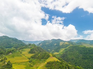 Vietnam 'ın kuzeyindeki Sapa şehri yakınlarındaki Mu cang chai kasabasındaki altın pirinç teraslarının hava manzarası. Vietnam, Yen Bai 'de hasat mevsiminde güzel bir pirinç tarlası. Seyahat ve manzara konsepti. Seçici odak