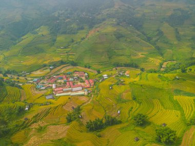 Vietnam 'ın kuzeyindeki Sapa şehri yakınlarındaki Mu cang chai kasabasındaki altın pirinç teraslarının hava manzarası. Vietnam, Yen Bai 'de hasat mevsiminde güzel bir pirinç tarlası. Seyahat ve manzara konsepti. Seçici odak