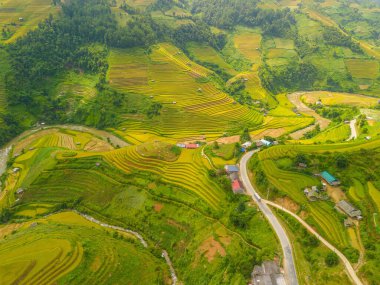 Vietnam 'ın kuzeyindeki Sapa şehri yakınlarındaki Mu cang chai kasabasındaki altın pirinç teraslarının hava manzarası. Vietnam, Yen Bai 'de hasat mevsiminde güzel bir pirinç tarlası. Seyahat ve manzara konsepti. Seçici odak