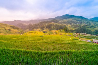 Vietnam 'ın kuzeyindeki Sapa şehri yakınlarındaki Mu cang chai kasabasındaki altın pirinç teraslarının hava manzarası. Vietnam, Yen Bai 'de hasat mevsiminde güzel bir pirinç tarlası. Seyahat ve manzara konsepti. Seçici odak