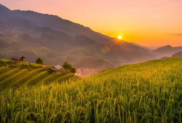 Vietnam 'ın kuzeyindeki Sapa şehri yakınlarındaki Mu cang chai kasabasındaki altın pirinç teraslarının hava manzarası. Vietnam, Yen Bai 'de hasat mevsiminde güzel bir pirinç tarlası. Seyahat ve manzara konsepti. Seçici odak