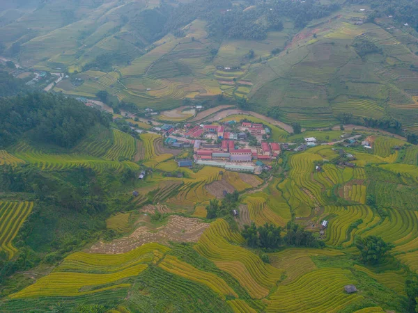 在越南北部萨帕市附近的穆仓斋镇 空中俯瞰金黄色的稻田 越南银白美丽的梯田在收获季节 旅游和景观概念 有选择的重点 — 图库照片