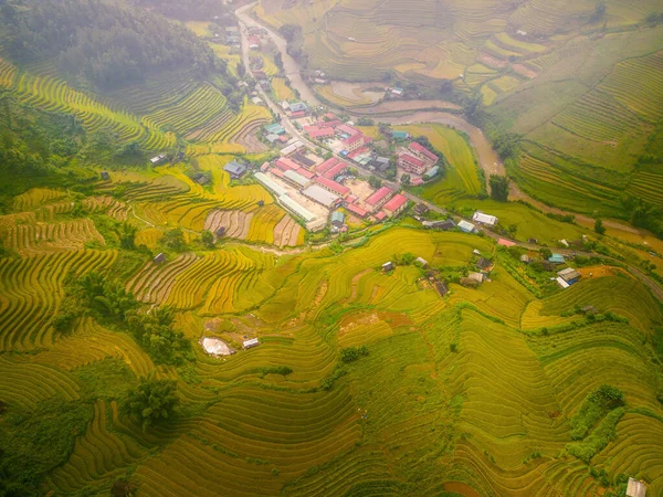 Flygfoto Över Gyllene Ris Terrasser Cang Chai Stad Nära Sapa — Stockfoto