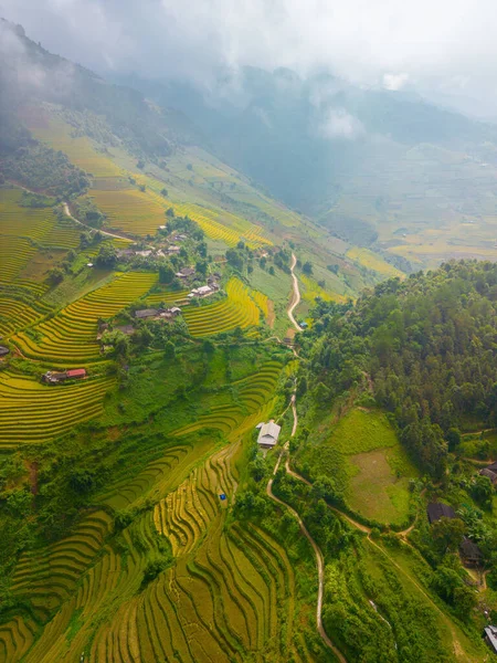 Luftaufnahme Von Goldenen Reisterrassen Der Stadt Cang Chai Der Nähe — Stockfoto