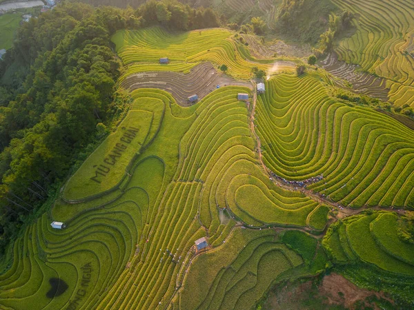 Flygfoto Över Gyllene Ris Terrasser Cang Chai Stad Nära Sapa — Stockfoto