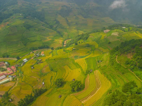 Flygfoto Över Gyllene Ris Terrasser Cang Chai Stad Nära Sapa — Stockfoto