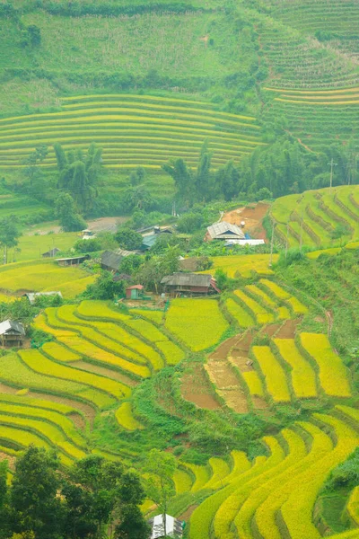 Vista Aérea Terraços Arroz Dourado Cidade Cang Chai Perto Cidade — Fotografia de Stock
