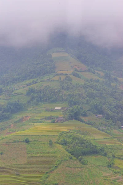 Flygfoto Över Gyllene Ris Terrasser Cang Chai Stad Nära Sapa — Stockfoto