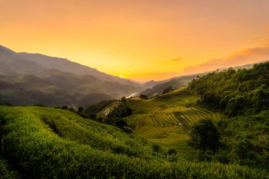 Vietnam 'ın kuzeyindeki Sapa şehri yakınlarındaki Mu cang chai kasabasındaki altın pirinç teraslarının hava manzarası. Vietnam, Yen Bai 'de hasat mevsiminde güzel bir pirinç tarlası. Seyahat ve manzara konsepti. Seçici odak
