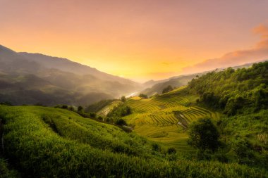 Vietnam 'ın kuzeyindeki Sapa şehri yakınlarındaki Mu cang chai kasabasındaki altın pirinç teraslarının hava manzarası. Vietnam, Yen Bai 'de hasat mevsiminde güzel bir pirinç tarlası. Seyahat ve manzara konsepti. Seçici odak