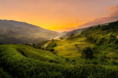 Vietnam 'ın kuzeyindeki Sapa şehri yakınlarındaki Mu cang chai kasabasındaki altın pirinç teraslarının hava manzarası. Vietnam, Yen Bai 'de hasat mevsiminde güzel bir pirinç tarlası. Seyahat ve manzara konsepti. Seçici odak