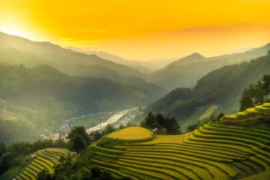 Vietnam 'ın kuzeyindeki Sapa şehri yakınlarındaki Mu cang chai kasabasındaki altın pirinç teraslarının hava manzarası. Vietnam, Yen Bai 'de hasat mevsiminde güzel bir pirinç tarlası. Seyahat ve manzara konsepti. Seçici odak