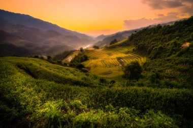 Vietnam 'ın kuzeyindeki Sapa şehri yakınlarındaki Mu cang chai kasabasındaki altın pirinç teraslarının hava manzarası. Vietnam, Yen Bai 'de hasat mevsiminde güzel bir pirinç tarlası. Seyahat ve manzara konsepti. Seçici odak