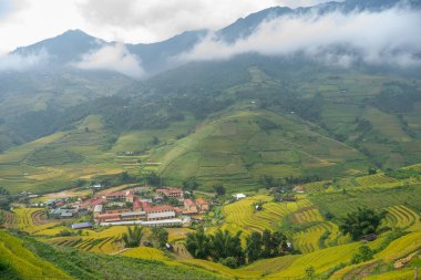 Vietnam 'ın kuzeyindeki Sapa şehri yakınlarındaki Mu cang chai kasabasındaki altın pirinç teraslarının hava manzarası. Vietnam, Yen Bai 'de hasat mevsiminde güzel bir pirinç tarlası. Seyahat ve manzara konsepti. Seçici odak