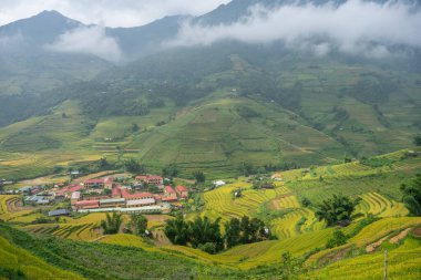 Vietnam 'ın kuzeyindeki Sapa şehri yakınlarındaki Mu cang chai kasabasındaki altın pirinç teraslarının hava manzarası. Vietnam, Yen Bai 'de hasat mevsiminde güzel bir pirinç tarlası. Seyahat ve manzara konsepti. Seçici odak