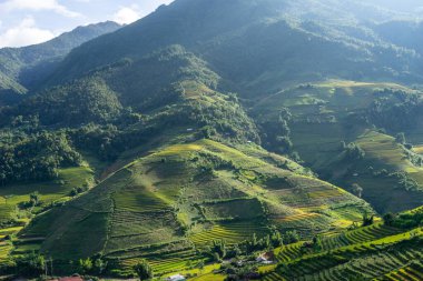 Vietnam 'ın kuzeyindeki Sapa şehri yakınlarındaki Mu cang chai kasabasındaki altın pirinç teraslarının hava manzarası. Vietnam, Yen Bai 'de hasat mevsiminde güzel bir pirinç tarlası. Seyahat ve manzara konsepti. Seçici odak