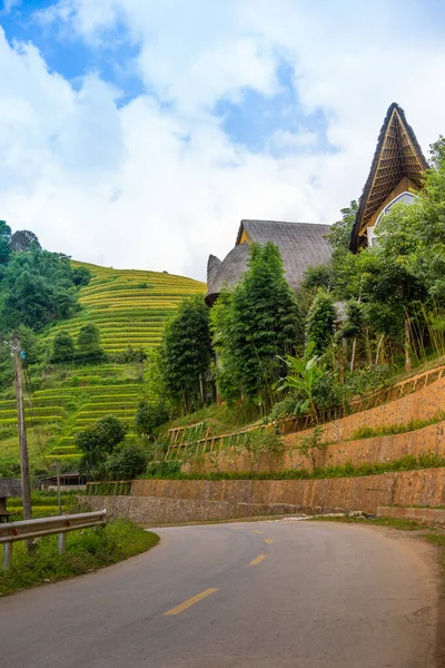 Flygfoto Över Gyllene Ris Terrasser Cang Chai Stad Nära Sapa — Stockfoto