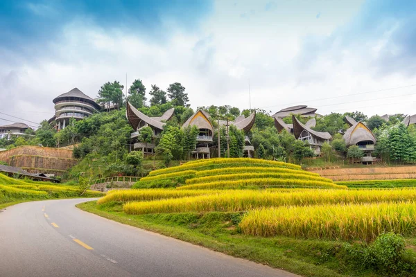 Flygfoto Över Gyllene Ris Terrasser Cang Chai Stad Nära Sapa — Stockfoto