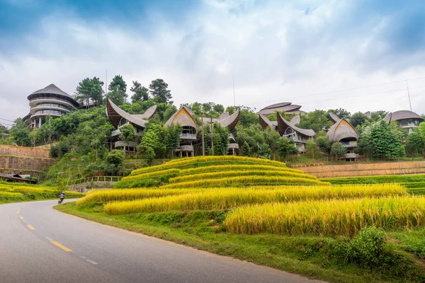 Vista Aerea Terrazze Riso Oro Cang Chai Città Vicino Sapa — Foto Stock