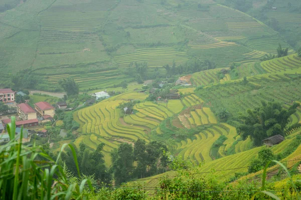 Aerial view of golden rice terraces at Mu cang chai town near Sapa city, north of Vietnam. Beautiful terraced rice field in harvest season in Yen Bai, Vietnam. Travel and landscape concept. Selective focus
