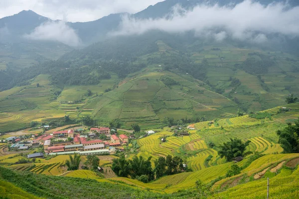 Flygfoto Över Gyllene Ris Terrasser Cang Chai Stad Nära Sapa — Stockfoto