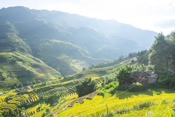 Aerial view of golden rice terraces at Mu cang chai town near Sapa city, north of Vietnam. Beautiful terraced rice field in harvest season in Yen Bai, Vietnam. Travel and landscape concept. Selective focus