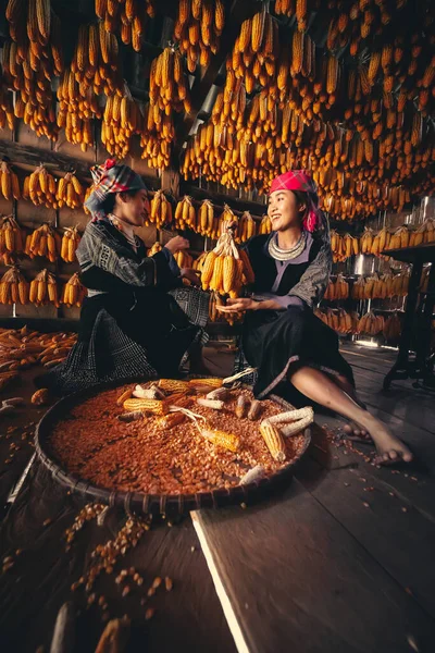 Hmong minority people working and smiling with labor achievements expressed happy, satisfied after date of harvest corn on a fall morning in Mu Cang Chai town, Yen Bai, Vietnam. Travel concept.