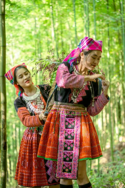 Pessoas Minoria Étnica Mong Com Vestido Colorido Traje Andando Floresta — Fotografia de Stock