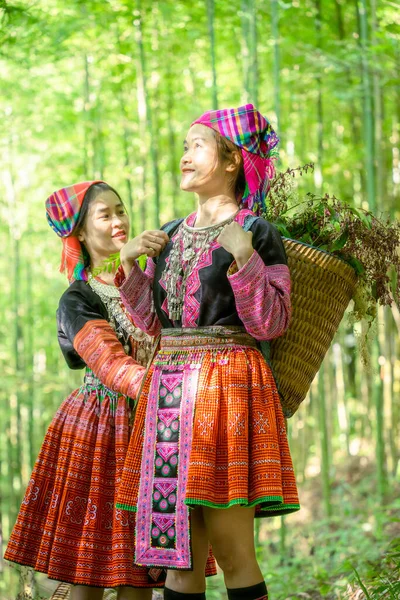 Ludzie Mong Mniejszości Etnicznej Kolorowym Stroju Sukienka Spaceru Lesie Bambusa — Zdjęcie stockowe