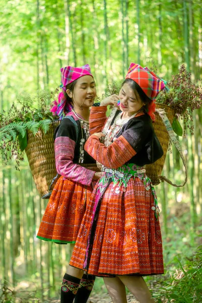 Mensen Mong Etnische Minderheid Met Kleurrijke Kostuum Jurk Wandelen Bamboe — Stockfoto
